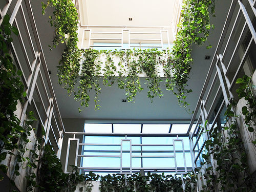 Legreen Suite Tondano Jacarta Exterior foto